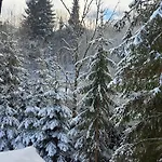 Juraszowka Kamesznica