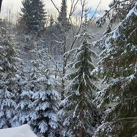 Juraszowka Kamesznica