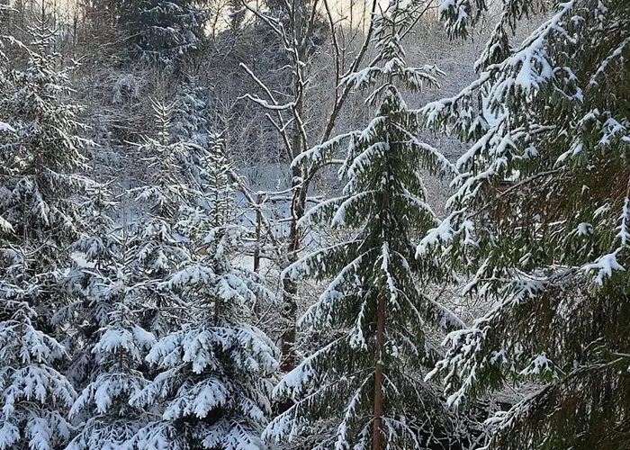 Juraszowka Kamesznica